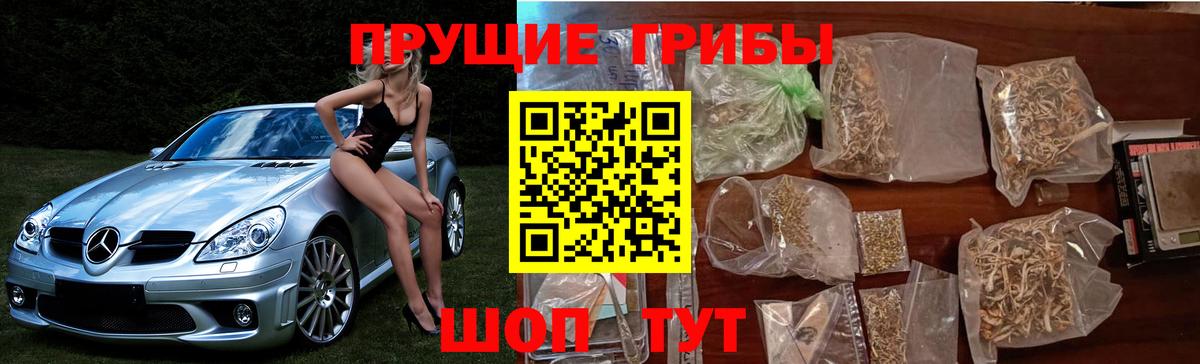 Псилоцибиновые грибы ЛСД  Вход с VPN  Спасск-Дальний 